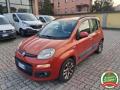 usato FIAT Panda