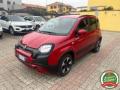 usato FIAT Panda