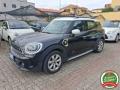 usato MINI Countryman