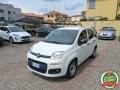 usato FIAT Panda