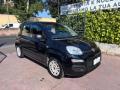usato FIAT Panda
