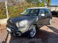 usato MINI Countryman