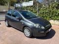 usato FIAT Punto
