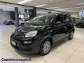 usato FIAT Panda