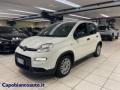 usato FIAT Panda