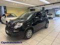 usato FIAT Panda