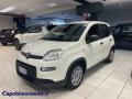 usato FIAT Panda