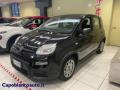 usato FIAT Panda
