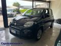 usato FIAT Panda