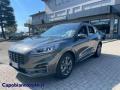 usato FORD Kuga