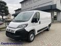 usato FIAT Ducato