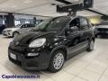 usato FIAT Panda