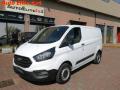 usato FORD Transit Custom