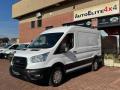 usato FORD Transit