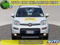 usato FIAT Panda