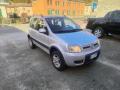 usato FIAT Panda