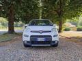 usato FIAT Panda