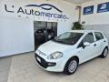 usato FIAT Punto Evo
