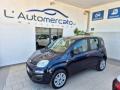 usato FIAT Panda