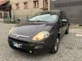 usato FIAT Punto Evo