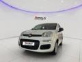 usato FIAT Panda