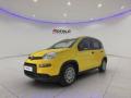 usato FIAT Panda