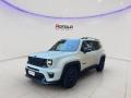 usato JEEP Renegade