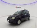 usato FIAT Panda