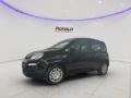 usato FIAT Panda