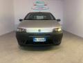 usato FIAT Punto