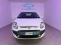 usato FIAT Punto Evo