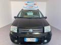usato FIAT Panda