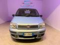 usato FIAT Panda