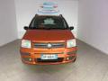usato FIAT Panda