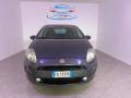 usato FIAT Punto