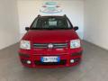 usato FIAT Panda