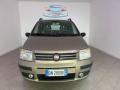 usato FIAT Panda
