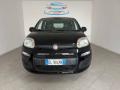usato FIAT Panda