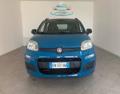 usato FIAT Panda