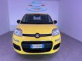 usato FIAT Pandina