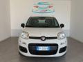 usato FIAT Panda