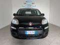 usato FIAT Pandina