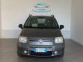 usato FIAT Panda