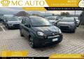 usato FIAT Panda