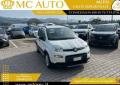 usato FIAT Panda