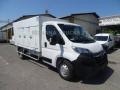 nuovo OPEL Movano