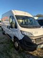 usato FIAT Ducato