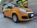 usato FIAT Panda