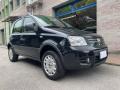 usato FIAT Panda