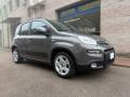 usato FIAT Panda